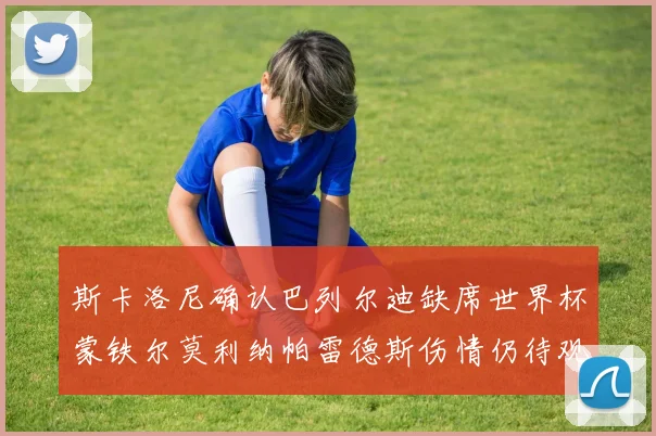 斯卡洛尼确认巴列尔迪缺席世界杯蒙铁尔莫利纳帕雷德斯伤情仍待观察